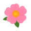 Logo La Jara Rosa