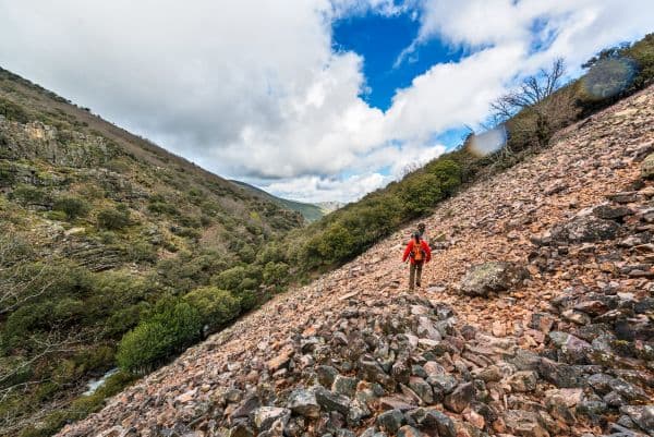 Vistas desde el pico Rocigalgo, el punto más alto del Parque Nacional de Cabañeros. - Imagen 1
